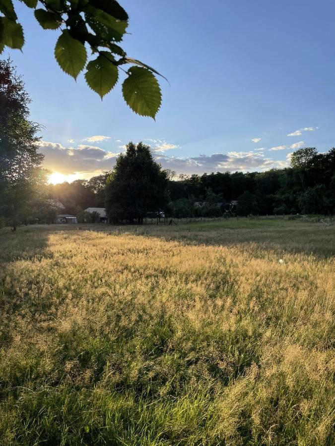 Apartament Spreewaldhaus Am Landgut - Pretschen Markische Heide Zewnętrze zdjęcie