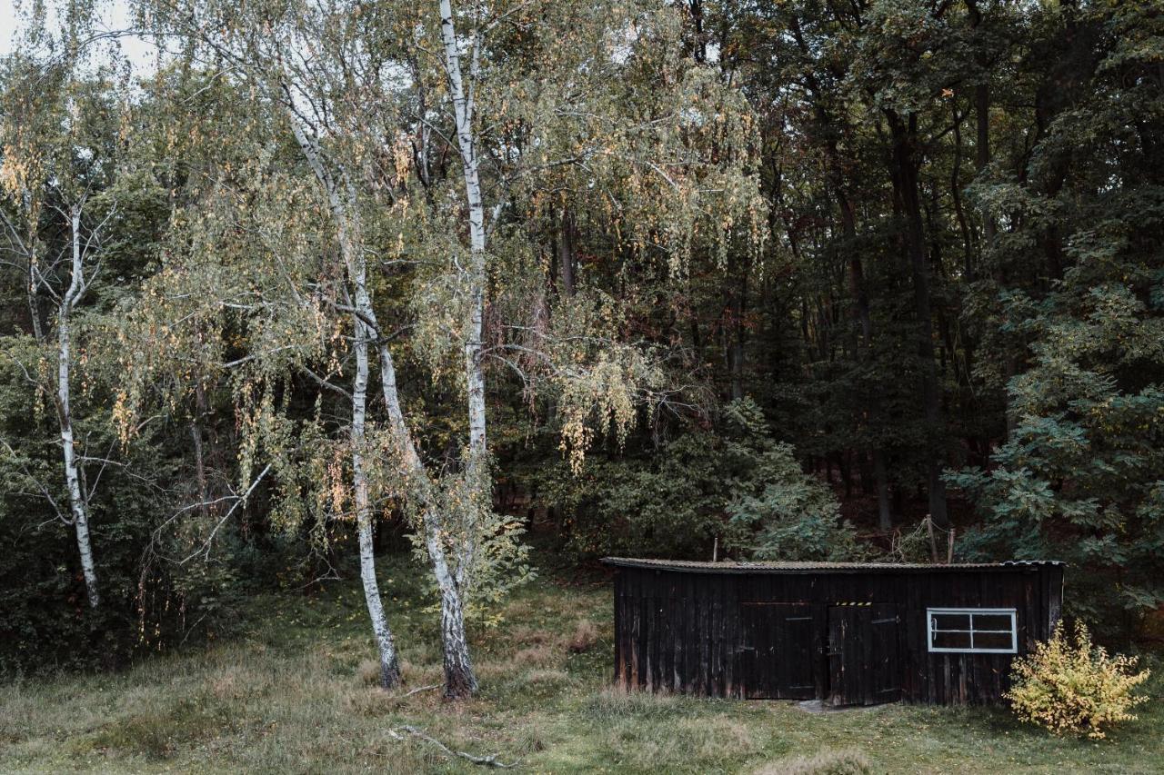 Apartament Spreewaldhaus Am Landgut - Pretschen Markische Heide Zewnętrze zdjęcie